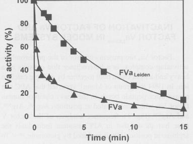 + 26: Va - / : 0.. - /0 Arg-506, /, /0 306, /0 679. 1 0 - /* ) /*. ( - FVa Leiden - 40 ) /*,,, 40 - /* (Hemker et al, 2000) 2). V Leiden +0 4 - +* /*). &.