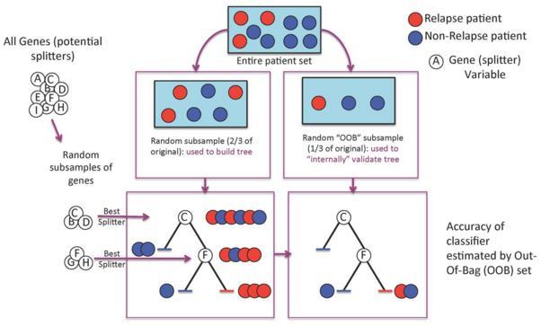 Τα 2/3 των δειγμάτων χρησιμοποιούνται για την κατασκευή του δέντρου (training set). Το 1/3 των δειγμάτων (testing set) χρησιμοποιούνται για την εύρεση του OOB error rate και της variable importance.