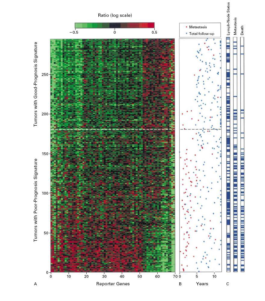 Εικ. 15. Gene expression signature as a predictor of survival in breast cancer. G. Clark, Topological Data Analysis, 2014 (accessed by http://www.math.utk.