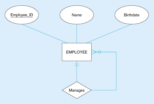 entity with Manages relationship EMPLOYEE