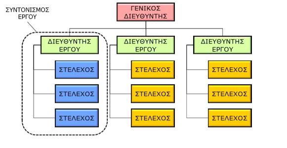 Κάθε έργο έχει τη δική του διοίκηση, που ευθύνεται για όλες τις δραστηριότητες που συνθέτουν το έργο.