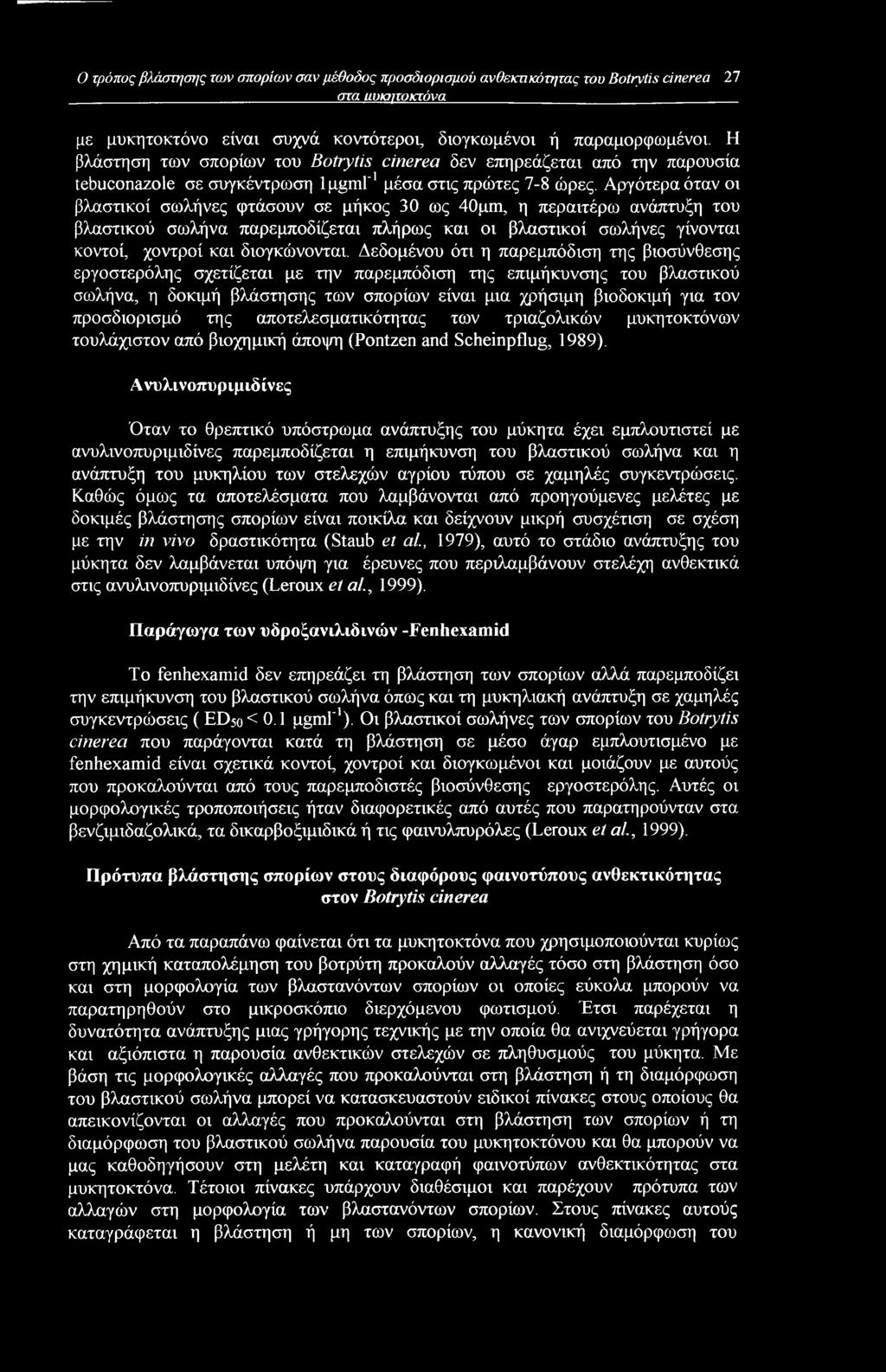 Αργότερα όταν οι βλαστικοί σωλήνες φτάσουν σε μήκος 30 ως 40pm, η περαιτέρω ανάπτυξη του βλαστικού σωλήνα παρεμποδίζεται πλήρως και οι βλαστικοί σωλήνες γίνονται κοντοί, χοντροί και διογκώνονται.