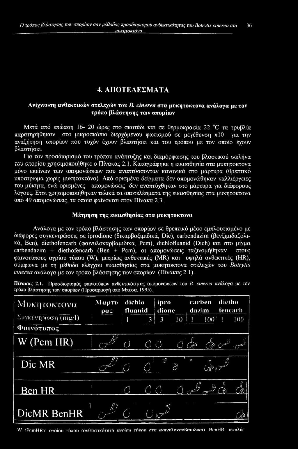 μεγέθυνση xlo για την αναζήτηση σπορίων που τυχόν έχουν βλαστήσει και του τρόπου με τον οποίο έχουν βλαστήσει.