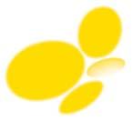Sunshine is our business. GERMANY CENTROSOLAR AG Stresemannstraße 163 22769 Hamburg GERMANY Tel.: +49 40 391065-0 hamburg@centrosolar.com INTERNATIONAL CENTROSOLAR AMERICA INC. 8350 E.