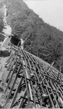 Zgodovina smučarskih skokov v Sloveniji se uradno začenja s prvim rekordom in prvenstvom leta 1921 v Bohinju, in sicer s tedanjo najboljšo znamko 9 m Jožeta Pogačarja, prvega prvaka in rekorderja.