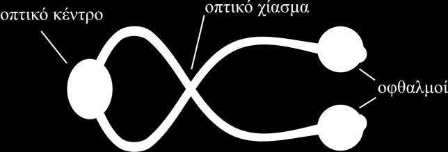 gr Στερεοςκοπικι όραςθ d 2 R Rmin d