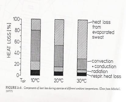 Αποβολή θερμότητας θερμοκρασία Η σχετική συνεισφορά της κάθε μεθόδου εξαρτάται από: θερμοκρασία περιβάλλοντος, σχετική υγρασία & ένταση άσκησης.