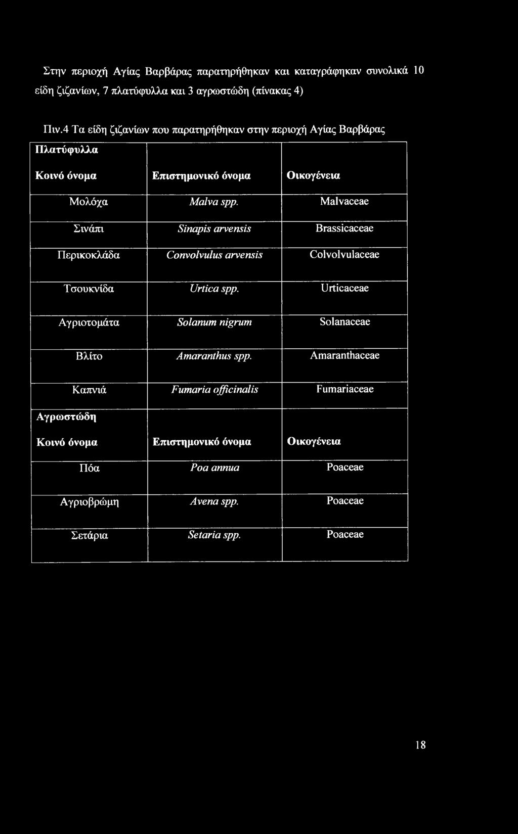 Malvaceae Σινάπι Sinapis arvensis Brassicaceae Περικοκλάδα Convolvulus arvensis Colvolvulaceae Τσουκνίδα Urtica spp.