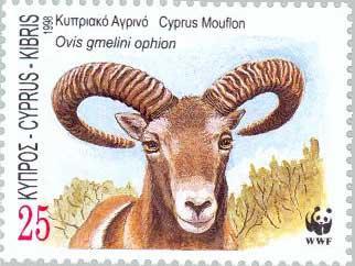 3. Ένα ενδημικό είδος της Κύπρου, όπως μάθαμε φέτος στο μάθημα της βιολογίας, είναι το αγρινό.