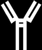 Ligand 1997 Σήμεπα Fc-OPG OPG-Fc RANK-Fc