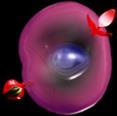 Cytokines Osteoblasts