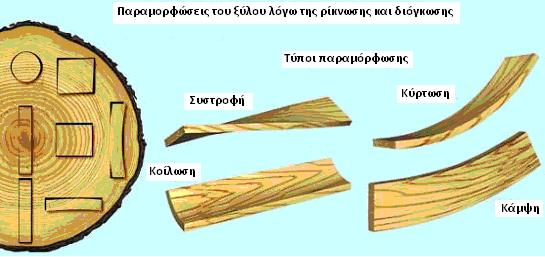 Ρ ί κ ν ω σ η & Δ ι ό γ κ ω σ η Εικόνα 48: Διάφορες παραμορφώσεις (στρεβλώσεις) του ξύλου που οφείλονται σε μεταβολές υγρασίας και τις αντίστοιχες διαστασιακές μεταβολές Το πρόβλημα της ρίκνωσης και