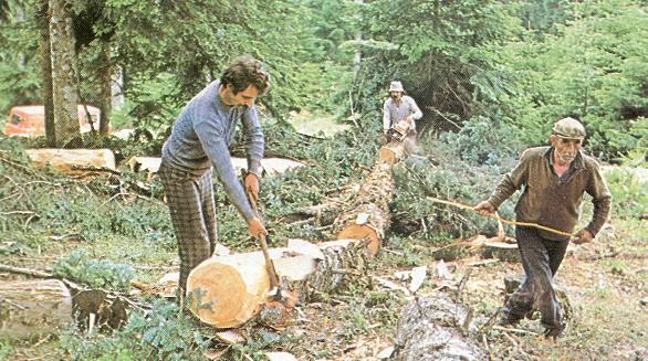Ε ι σ α γ ω γ ή Εικόνα 2: Υλοτομικές εργασίες στην Πίνδο Το ξύλο ακόμα και σήμερα χρησιμοποιείται, ιδιαίτερα στις φτωχές χώρες, κυρίως σαν θερμαντική και καύσιμη ύλη.