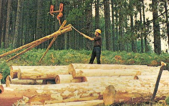 Ε ι σ α γ ω γ ή Εικόνα 3: Εργασίες μετατόπισης ξυλείας στα Γρεβενά Σήμερα, όμως, με την εξέλιξη της τεχνολογίας, τα προϊόντα που παράγονται είναι πολυάριθμα και καταναλώνουν σημαντικές ποσότητες της