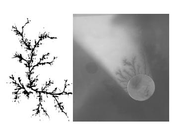 Σχήµα 1.4.3.