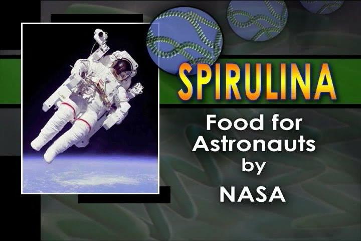 «Σπιρουλίνα, η τροφή των αστροναυτών» Η ΝΑSA επέλεξε τη spirulina, μεταξύ άλλων και ως την κύρια πηγή
