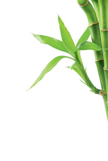 MAGIA CLASICULUI ORIENTALE TARI ŞI NEÎMBLÂNZITE Aromele orientale sunt senzuale şi seducătoare. Sunt compoziții calde și exotice.
