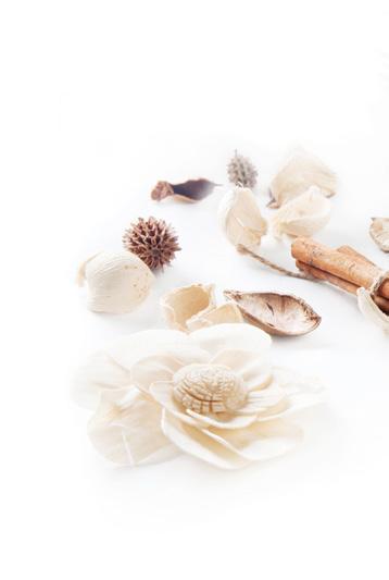 MAGIA CLASICULUI FLORALE FRUMOASE ŞI FOARTE FEMININE Cea mai importantă şi mai diferită este grupa aromelor florale.