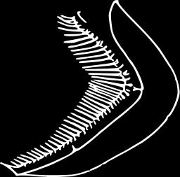 http://upload.wikimedia.