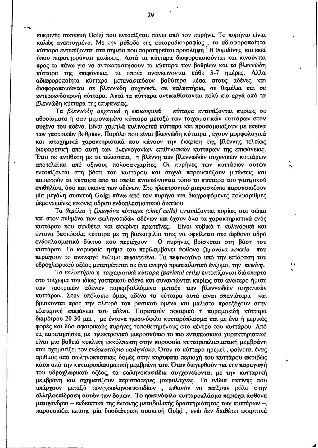 29 ευκρινής συσκευή Golgi που εντοπίζεται πάνω από τον πυρήνα. Το πυρήνιο είναι καλώς ανεπτυγμένο.