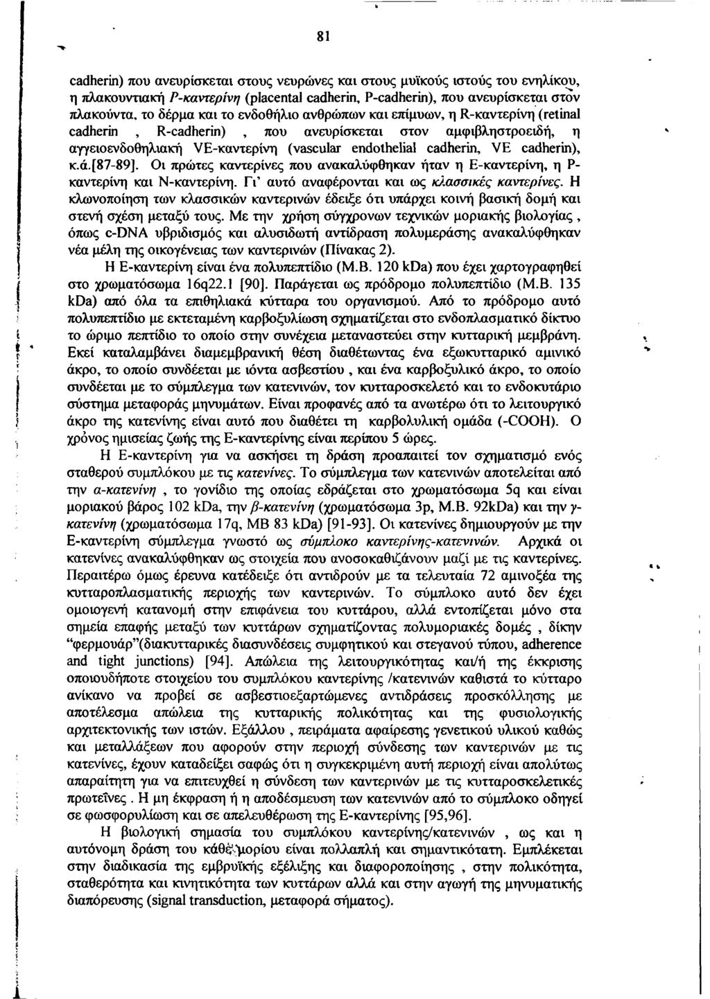 81 cadherin) που ανευρίσκεται στους νευρώνες και στους μυϊκούς ιστούς του ενηλίκου, η πλακουντιακή Ρ-καντερίνη (placental cadherin, P-cadherin), που ανευρίσκεται στον πλακούντα, το δέρμα και το