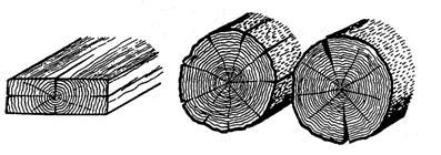 Σφάλματα ξήρανσης Αν δεν παρθούν τα κατάλληλα μέτρα για ξήρανση, το ξύλο μπορεί να παρουσιάσει ραγάδες, παραμόρφωση, κατάρρευση, προσβολές από μύκητες. Εικόνα 2.