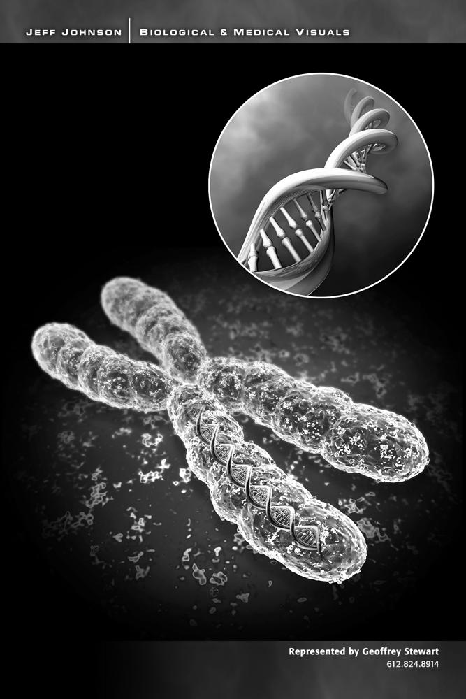 krožni kromosom kromosomske aberacije Sevanje okvarja