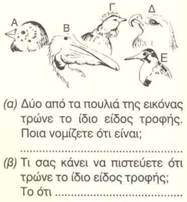 Μίνωας) Το αντικείμενο θα μπορούσε να αξιολογηθεί π.χ. με την ερώτηση 6 : Στη φωτογραφία που ακολουθεί βλέπεις το πόδι ενός πουλιού.