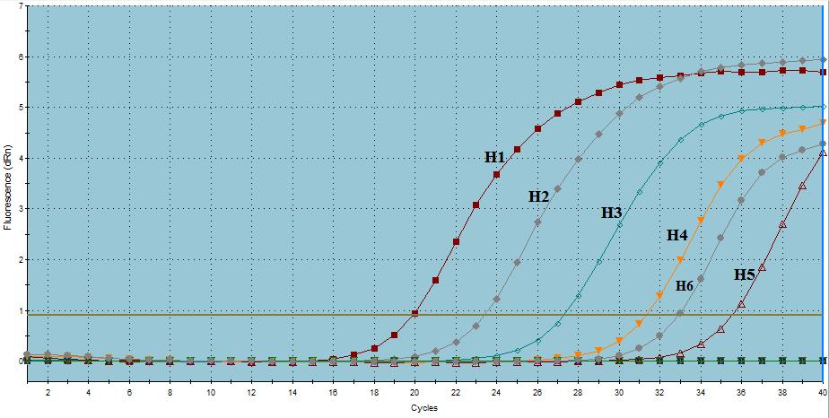 4.2. Αποτελέσματα Real Time PCR 4.2.1.