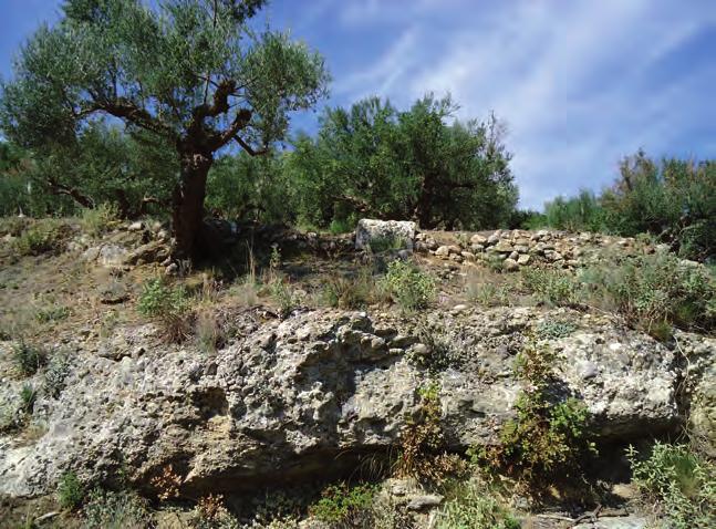 ΕΠΙΦΑΝΕΙΑΚΗ ΕΡΕΥΝΑ Αρχαία Θουρία Σχ. 2 Σχ. 2 Σχεδιαστική αναπαράσταση πρώιμου τύπου ελαιοπιεστηρίου (Χατζησάββας 2008, σ. 34). 06 Ελληνικά Θουρίας. Ιδιοκτησία Ν. Κρίκκα.