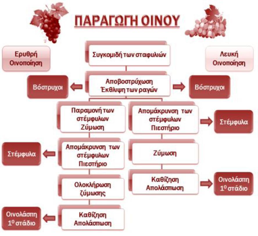 Υποπροϊόντα Γεωργικών Βιομηχανιών (Οινοποιία) Tα στερεά απόβλητα δημιουργούνται σε ποσότητα 100-150 Kg/τόνο σταφυλιών Χώροι εκραγιστηρίου και θλιπτηρίου : Βόστρυχοι...3-5% Στέμφυλα.