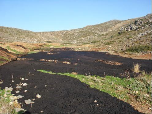Υποπροϊόντα Γεωργικών Βιομηχανιών (Ελαιουργία) Υγρά Απόβλητα Ελαιοτριβείου (ΥΑΕ) ΚΡΗΤΗ : 700.000 τόνους/έτος ΠΕΛΛΟΠΟΝΗΣΟΣ : 400.