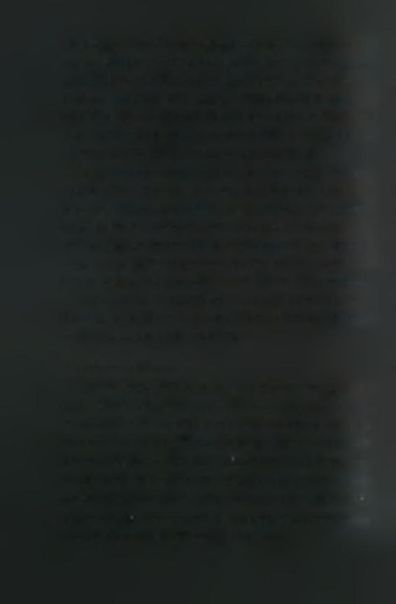 Ο βλαστός του Σόργου είναι καλάμι και μπορεί να φτάσει σε ύψος τα 3,5-6m. Κάθε στέλεχος αποτελείται από 7-10 κατακόρυφα μεσογονάτια διαστήματα.