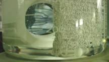 editie a Seminarului National de nanostiinta