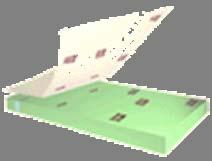 5. Hybridization with radioactive probe 4.
