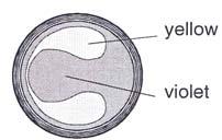 În figura 7,a care reprezintă cazul static, poate fi clar observat modelul Newtonian al fluidului din interfaţă.