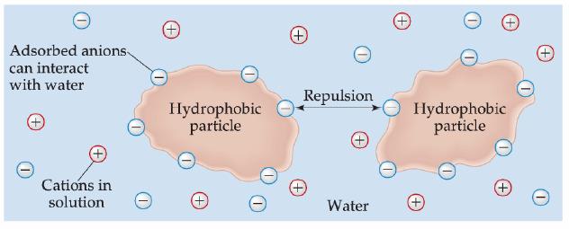 Koloidi koloidini rastvori Hidrofobne koloidne čestice nemaju afinitet za vodu i lako se talože ili formiraju sloj na površini vode.