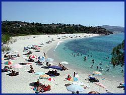Η λύση Τότε ο Αντιδήμαρχος, ως από μηχανής θεός, προτείνει μια λύση: - την συνεργασία μέσω ΤΠΕ*, εξ αποστάσεως.