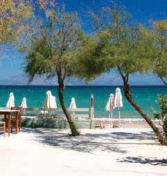 AIROTEL ACHAIA BEACH 4* ΚΑΣΤΕΛΟΚΑΜΠΟΣ - ΑΧΑΙΑ Μαγευτική θέα στη θάλασσα Το πρόσφατα ανακαινισμένο ξενοδοχείο είναι κυριολεκτικά χτισμένο πάνω στο κύμα, διαθέτει 85 δωμάτια ειδικά διαμορφωμένα για