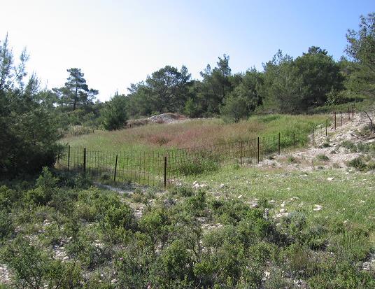 Περιφράξεις σπορών για προστασία τους από τα αιγοπρόβατα, σε περιοχές με έντονα στοιχεία υπερβόσκησης.