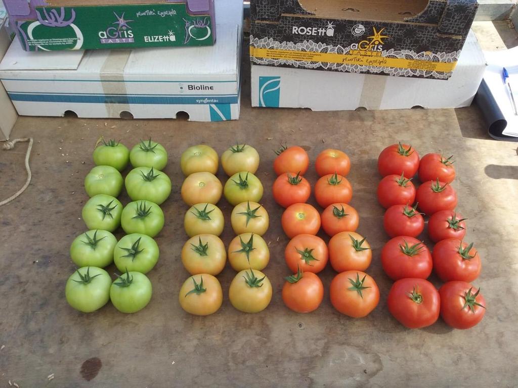 Εικόνα 1.