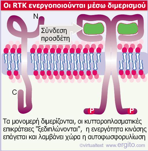 Εικόνα 28.