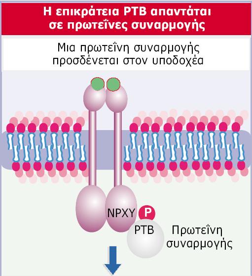 Εικόνα 28.