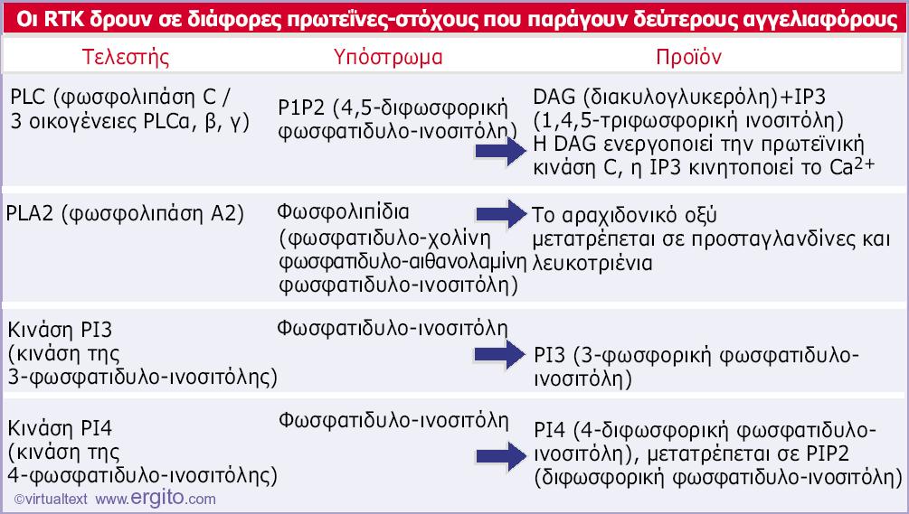 Εικόνα 28.