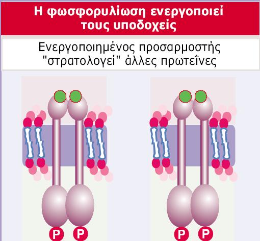 Εικόνα 28.