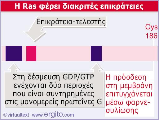 Εικόνα 28.