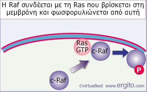 ενεργοποίησης τα οποία λαμβάνουν