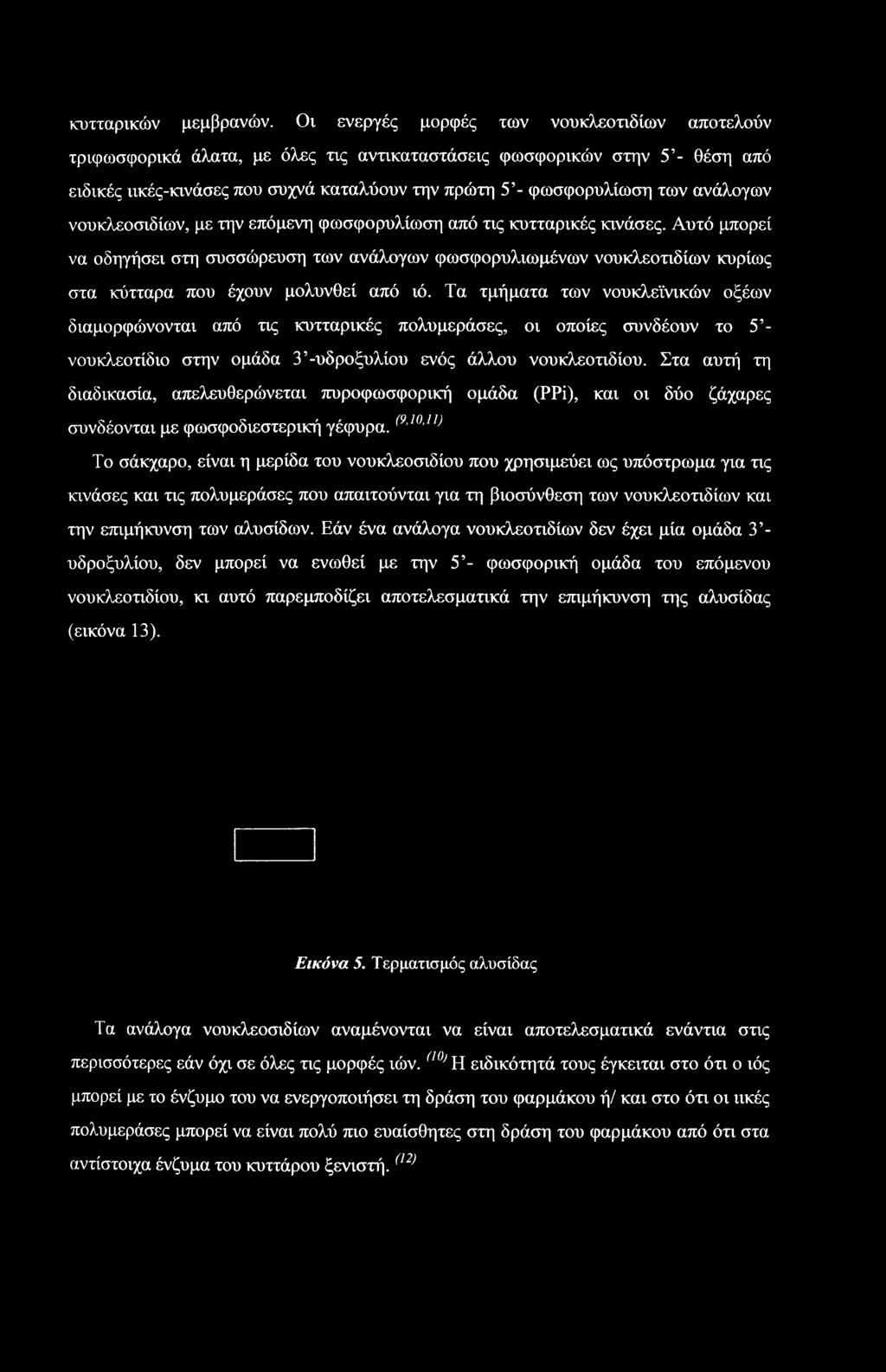 ανάλογων νουκλεοσιδίων, με την επόμενη φωσφορυλίωση από τις κυτταρικές κινάσες.