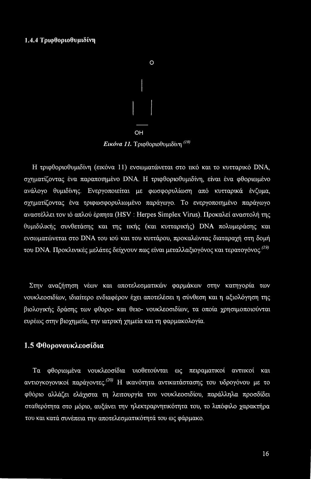 Το ενεργοποιημένο παράγωγο αναστέλλει τον ιό απλού έρπητα (HSV : Herpes Simplex Vims).